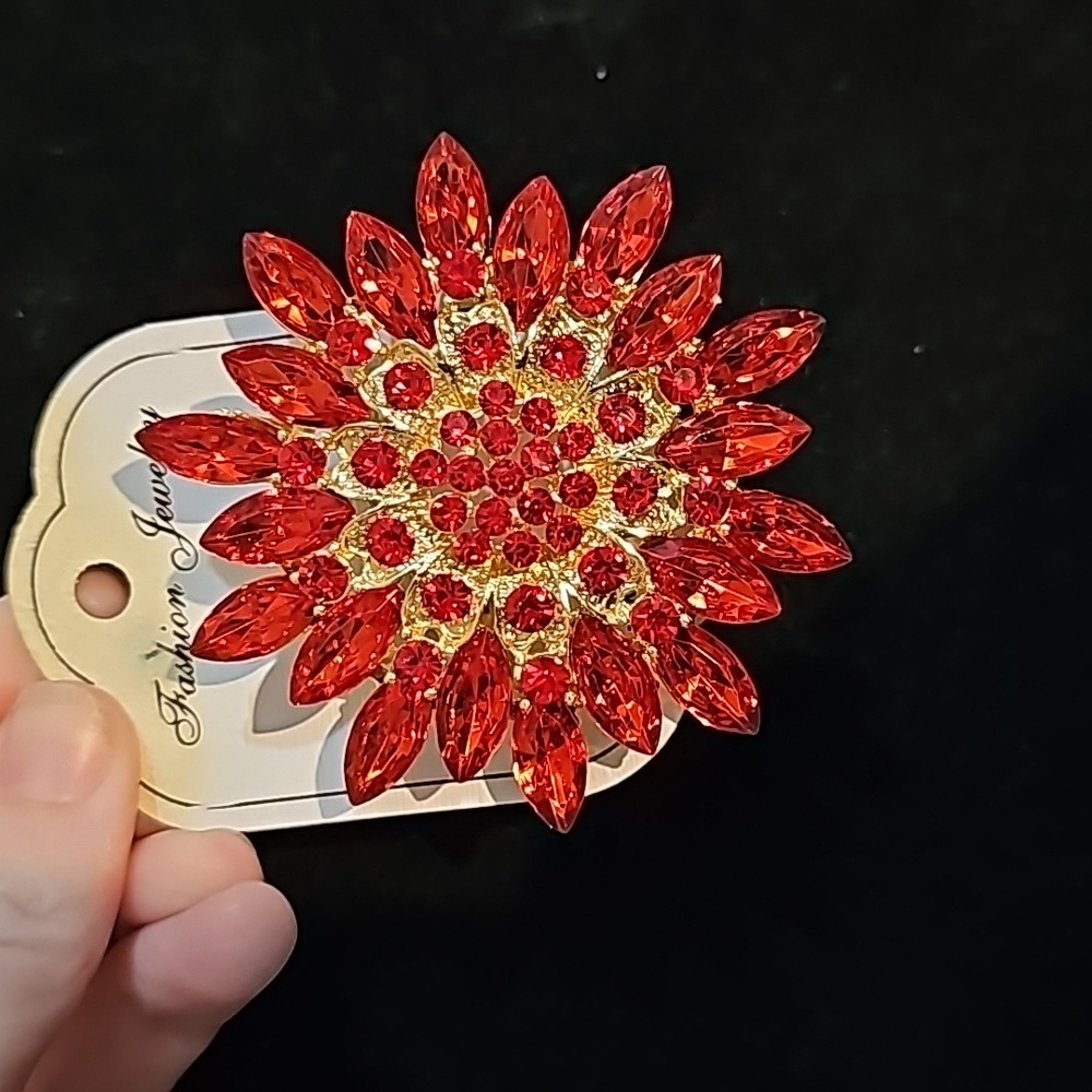 Red Sunburst Brooch